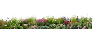 cut out large colourful flowerbed in foreground