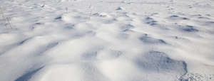 lumpy field of snow