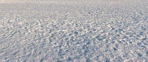 snowy field in sunlight