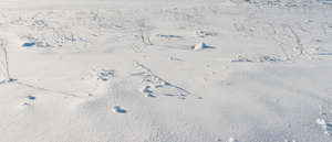 snow covered field