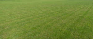 large field of mowed lawn