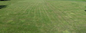 large field of mowed lawn