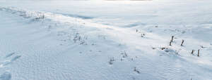 ground with snow and some dry grass