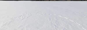 fresh snow with single row of footprints