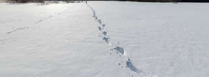 snow field with single path of footprints