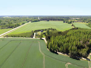 aerial view of green fields in spring