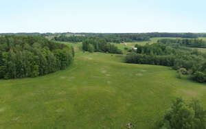 aerial view of a vast grassy area