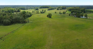 aerial photo of green grassy areas