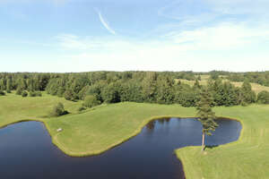 bird-eye view of a landscape with lake and grassland