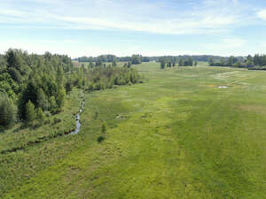 bird-eye view of a field of green grass