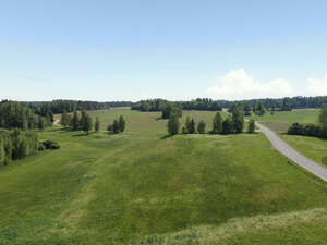 bird-eye view of a green grassland