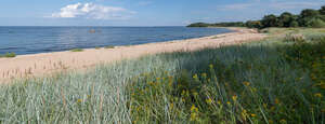 sandy seashore in summer