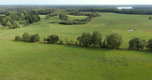 bird eye view of a green fields in countryside