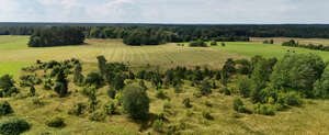 bird eye view of a countryside with fields and trees