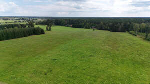 top view of green grassland