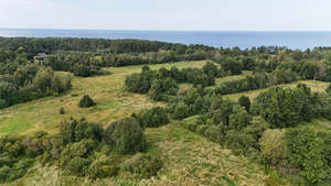 aerial view of wild landscape by the sea