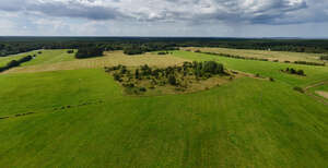 top view of green fields