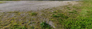 gravel and wild grass