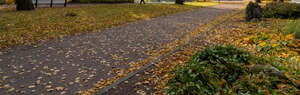 gravel road in a park in autumn