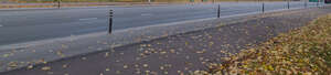 tarmac road with fallen leaves on the sidewalk