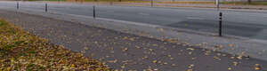 motorway with fallen leaves on the sidewalk