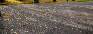 paved walking path in autumn with shadows and fallen leaves