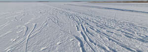 large field of snow with some tracks in sunlight