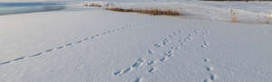 snow covered ground in sunlight