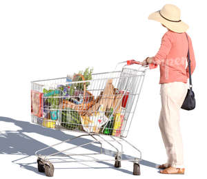 woman standing with a shopping cart