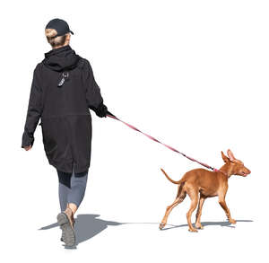 cut out woman walking a dog