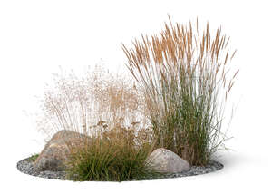 flowerbed with ornamental grass and rocks