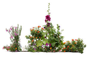 flowerbed with different blooming flowers