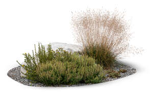 flowerbed with grass and stones and plants