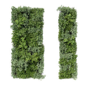 rendering of a green wall