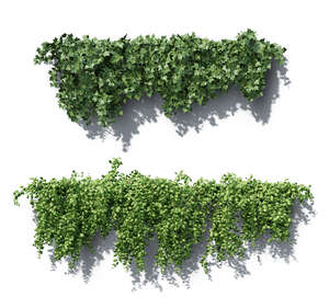 two cut out rendered climbing plants