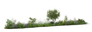 cut out long row of green plants and flowers