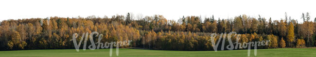 background with colourful autumn trees