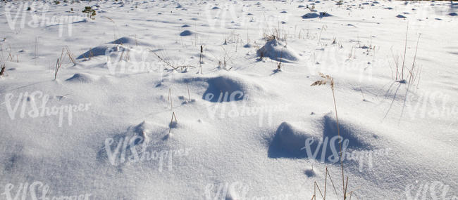 snowy ground with some lumps of grass