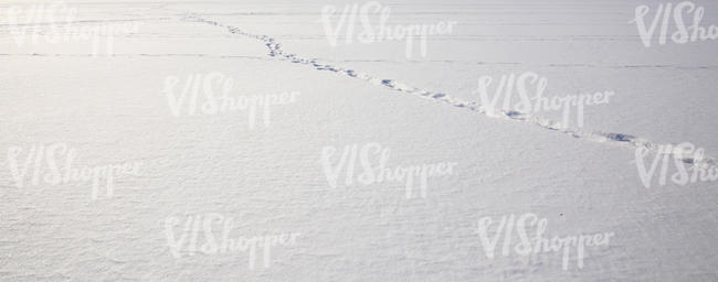 field of snow with one row of footprints