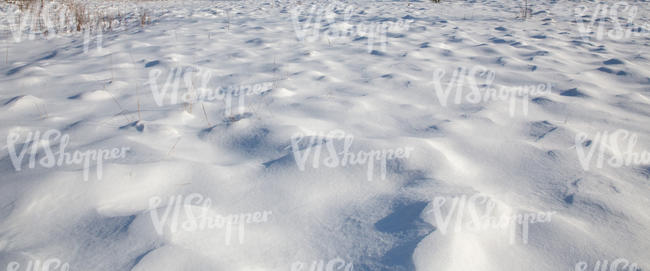 snowy grass field