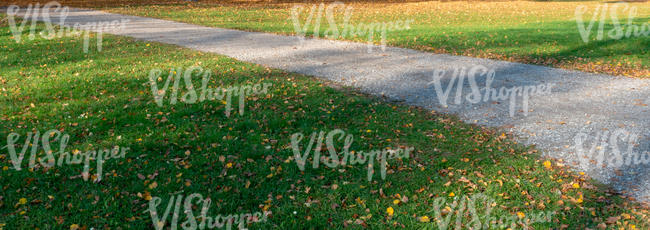 small road with shadows and fallen leaves