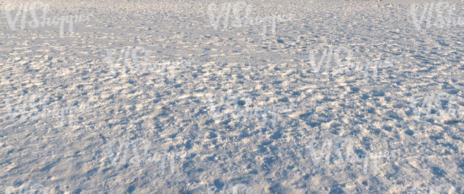 snowy field in sunlight