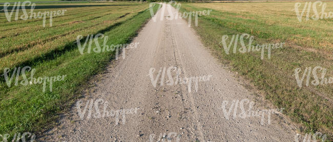 gravel road in countryside