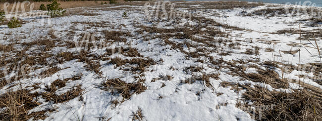 snowy grass on a seaside