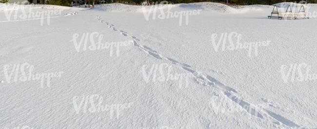 field of snow with a single row of footprints