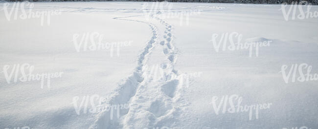 field of snow with footprints