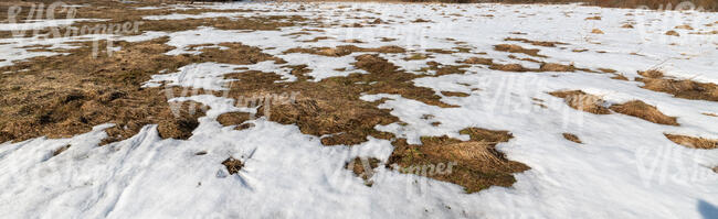 field of grass with melting snow