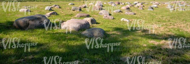 grass field with rubble and with tree shade