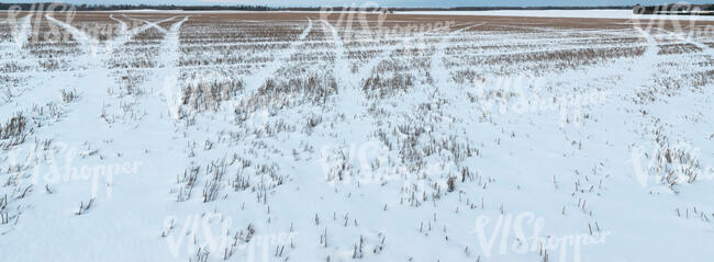 agricultural field in winter with snow