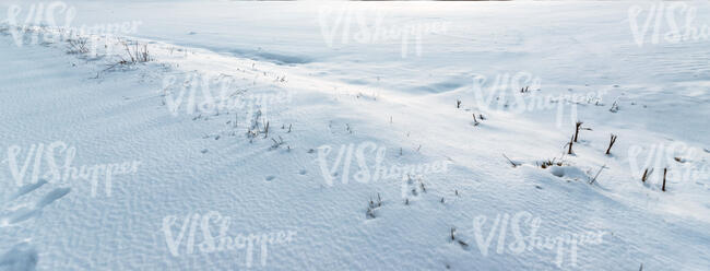 ground with snow and some dry grass